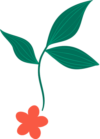 Stylized botanical illustration transparent design with orange flower