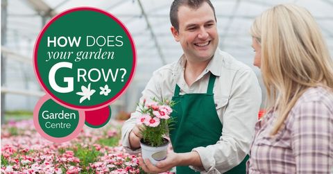 charming gardener assisting customer in greenhouse flower section - Download Free Stock Templates Pikwizard.com