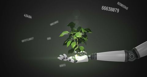 Robotic Hand Nurturing Young Plant in Digital Environment