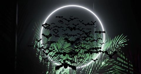 Gothic bats flying amidst tropical illuminated landscape