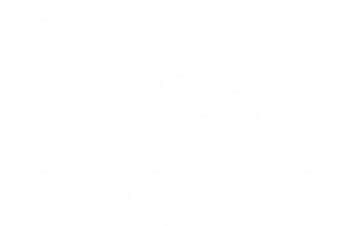 Abstract Transparent Digital Network Illustration with Numbers - Download Free Stock Videos Pikwizard.com