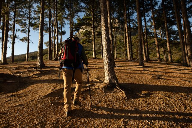 Senior man hiking in a mountain forest, using Nordic walking sticks and carrying a backpack. Ideal for promoting outdoor activities, healthy lifestyles, and adventure tourism. Suitable for use in travel blogs, fitness articles, and advertisements for hiking gear.