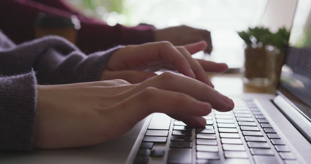 Close-Up of Hands Typing on Laptop Keyboard in Office Environment - Download Free Stock Images Pikwizard.com