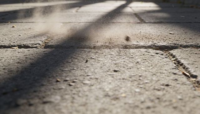 Sunlit concrete slab catching dust and shadows on cracked sidewalk with leaf debris