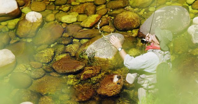 Man Fly Fishing in Clear Shallow Stream Surrounded by Rocks - Download Free Stock Images Pikwizard.com