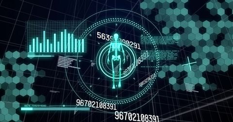 Human Skeleton with Digital Data Charts and Numbers Analysis - Download Free Stock Images Pikwizard.com