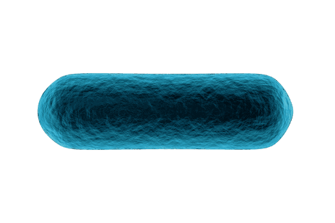 Abstract Blue Cylinder Shaped Form Transparent Background