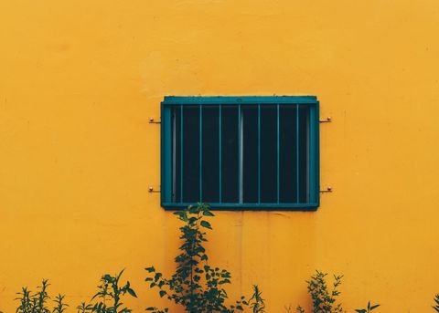 Minimalist yellow wall with barred window and green plants