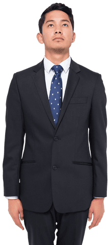 Professional Biracial Businessman Standing Transparent Background
