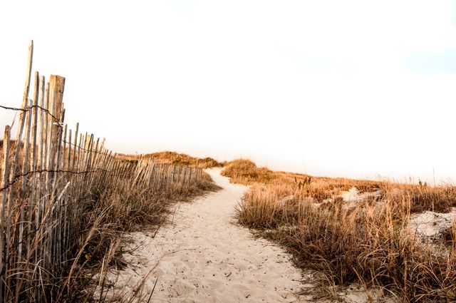 Sandy pathway leading through coastal dunes surrounded by dry grass and a wooden fence on a sunny day. Perfect for travel brochures, nature guides, and outdoor adventure promotions. Ideal for inspiring beach vacations, summer retreats, and peaceful escapes.
