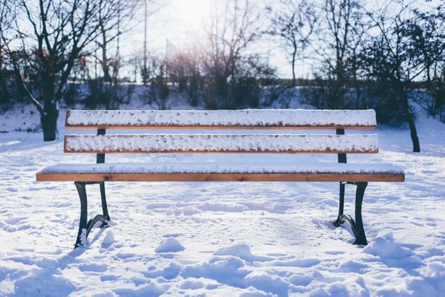 Park bench covered with snow under a sunny winter sky, trees in background dusted with snow. Ideal for use in articles about winter, seasons, quiet landscapes, relaxation spots, solitude, and nature's beauty during colder months.