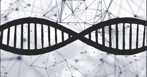 DNA Strand Over Digital Interface Micro Connections - Download Free Stock Images Pikwizard.com