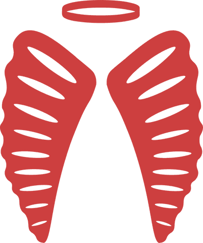 red halo and wings illustration on transparent background - Download Free Stock Videos Pikwizard.com