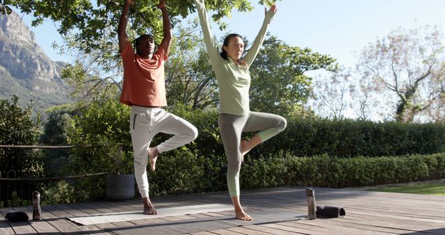 Couple Practicing Tree Pose Yoga Outdoors on Sunny Day - Download Free Stock Images Pikwizard.com