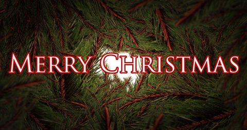 Merry Christmas Wishes with Fir Tree Branches Background