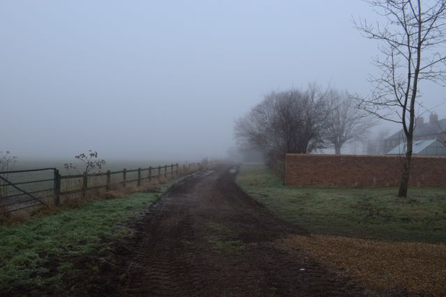 Foggy path in rural setting, bordered by leafless trees and fence. Perfect for illustrating quiet countryside mornings, ephemeral beauty of nature, or adding a sense of mystery to outdoor-themed projects.