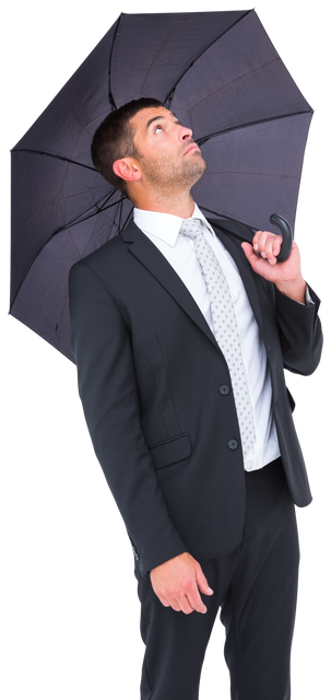 Transparent Businessman Holding Black Umbrella Looking Curious - Download Free Stock Videos Pikwizard.com