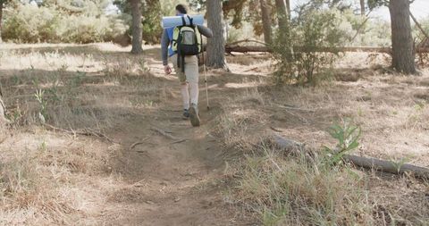 Man Hiking Through Sunny Forest with Backpack Discovering Nature - Download Free Stock Images Pikwizard.com