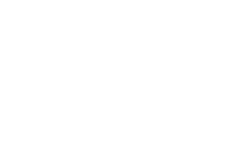 Hands Holding Next Day Text with Transparent Background - Download Free Stock Videos Pikwizard.com