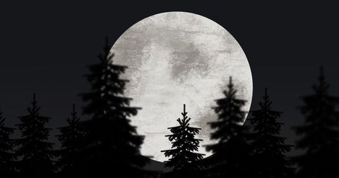 Santa Claus Silhouette with Full Moon and Reindeers