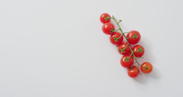 Fresh Cherry Tomatoes on Vine Isolated on White Background - Download Free Stock Images Pikwizard.com