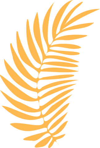 Golden Palm Frond Silhouette Vector on Transparent Background