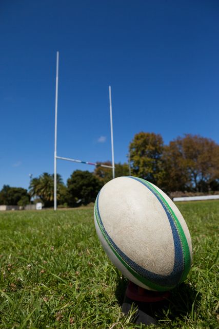 This image shows a close-up of a rugby ball placed on a grassy field with goal posts in the background. Ideal for use in sports-related content, articles about rugby, athletic training materials, or promotional materials for rugby events and tournaments.