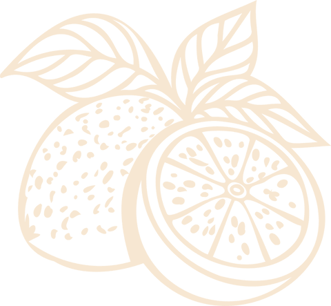 Minimalist Line Art of Oranges on Transparent Background for Fresh Design - Download Free Stock Videos Pikwizard.com