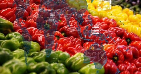 Colorful Bell Peppers Market Display with Digital World Map Overlay