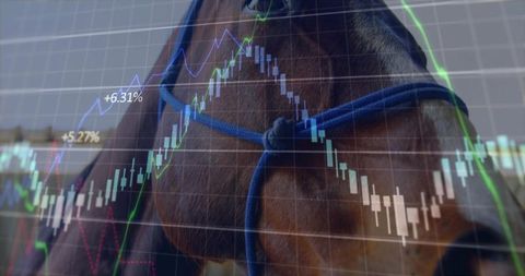 Brown horse wearing blue rope halter with stock market candlestick overlay for finance