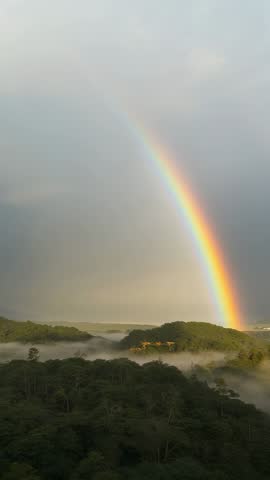 Vertical rainbow video arching over misty coastal forest while sun breaking through clouds