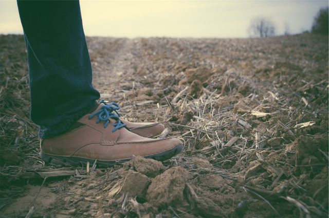 Person wearing casual shoes and jeans, standing on dirt ground in a rural field. Ideal for themes of nature, exploration, fashion, footwear advertisements, or agricultural lifestyles. Useful for content related to outdoor activities, countryside living, or seasonal change.