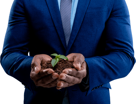 Transparent Businessman Holding New Seedling for Sustainable Growth