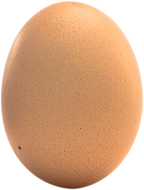 Transparent Single Brown Egg Close-Up Isolated - Download Free Stock Videos Pikwizard.com