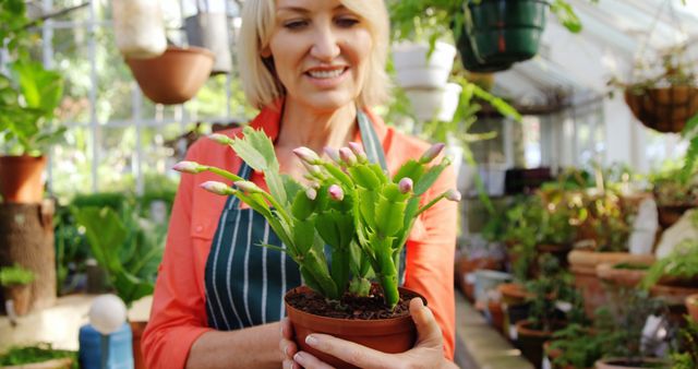 Mature woman holding pot plant in greenhouse