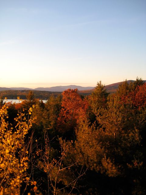 Serene Autumn Landscape with Forest and Mountains at Sunset - Download Free Stock Photos Pikwizard.com
