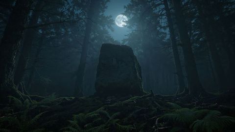 Mystical Forest Clearing under Moonlit Sky