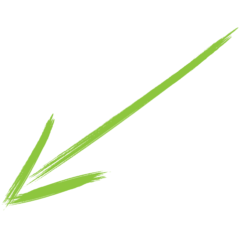 Bright Green Hand-Drawn Arrow on Transparent Background - Download Free Stock Videos Pikwizard.com