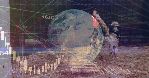 Global Impact of COVID-19 on Economy and Nature