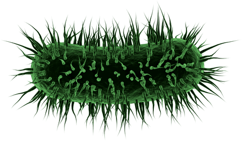 3d transparent green virus cell - science and medical illustration - Download Free Stock Videos Pikwizard.com