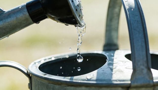 Sunlit watering can spout releasing crystal droplets into metal pail closeup