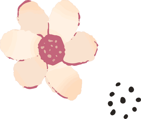 Stylized pastel flower illustration on transparent background