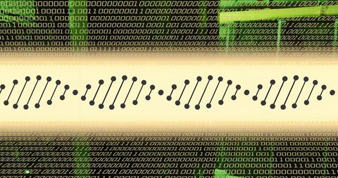 DNA Strand Superimposed on Binary Code in Server Environment - Download Free Stock Images Pikwizard.com