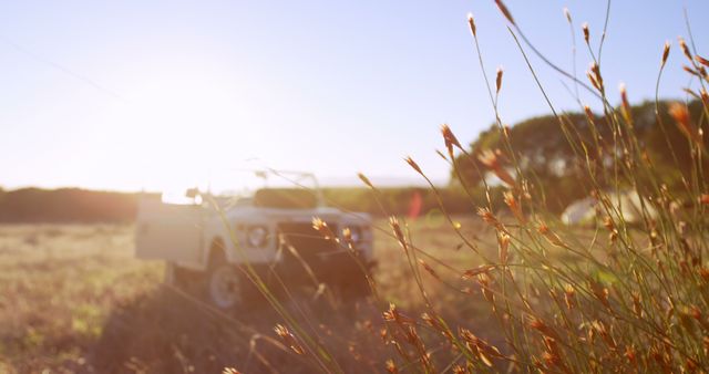 This scenic image depicts a vintage off-road vehicle in a rural field during sunset. The warm sunlight casting over the scene creates a peaceful and adventurous atmosphere, perfect for representing themes of outdoor exploration, nature adventures, countryside travel, freedom, and rural landscapes. Ideal for use in advertising for outdoor gear, travel destinations, or lifestyle products emphasizing nature and adventure.