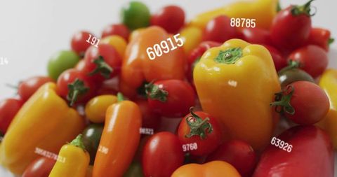 Displaying Colorful Bell Peppers and Cherry Tomatoes with Numeric Labels Glossy Closeup