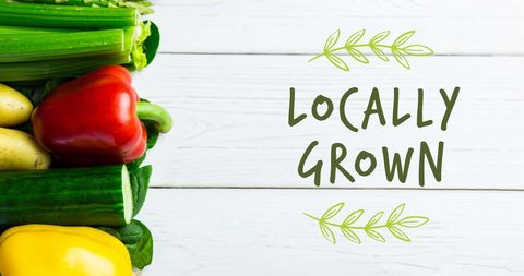 Locally Grown Fresh Organic Vegetables and Healthy Eating Concept - Download Free Stock Images Pikwizard.com