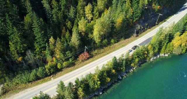 Aerial View of Forest-lined Road by Serene Lake - Download Free Stock Images Pikwizard.com