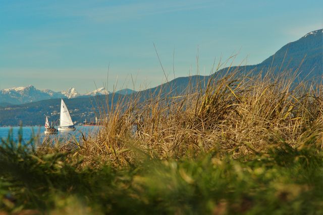 Peaceful scene of a sailboat on a calm lake with a stunning mountain range in the background. The foreground features dry, golden grass, enhancing the natural beauty of the landscape. Ideal for travel brochures, nature magazines, and websites promoting outdoor adventures and serenity.