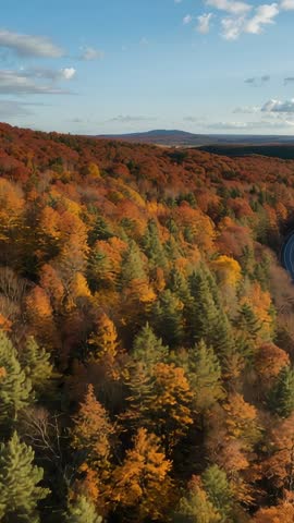 Drone Rising Above Autumn Canopy Revealing Winding Highway and Distant Mountains Vertical Video