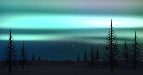 Glowing Northern Lights Over Fir Trees Silhouettes